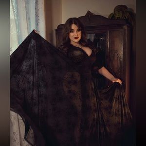 Wax Poetic Lydia wrap dress in flocked spiderweb 3x Gothic Sheer Empire dress